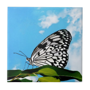 Butterfly & Sky Fliese