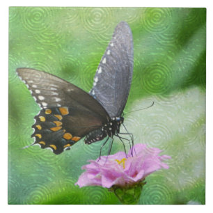 Butterfly Summer Tile Fliese