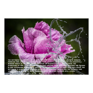 Butterfly Symbolismus Poster