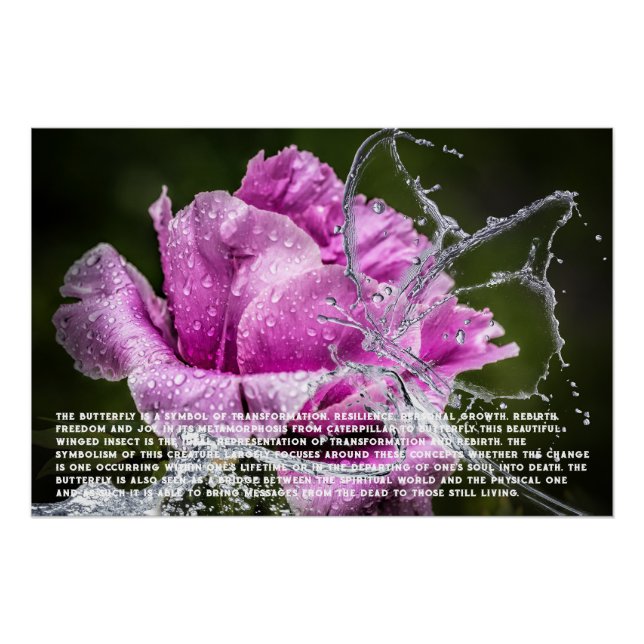 Butterfly Symbolismus Poster (Vorderseite)