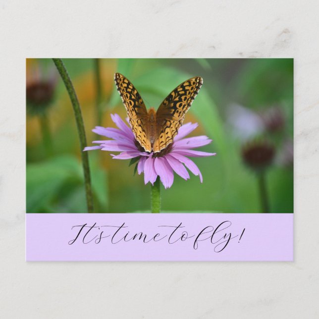Butterfly Time for New Life Adventures Carte posta (Devant)
