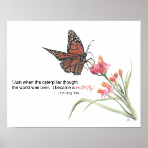 Butterfly Transformation Zeichnend Kunstdruck Poster