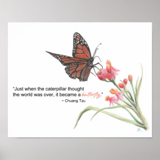 Butterfly Transformation Zeichnend Kunstdruck Poster