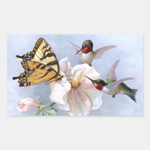 Butterfly und Hummingbirds Rechteckiger Aufkleber