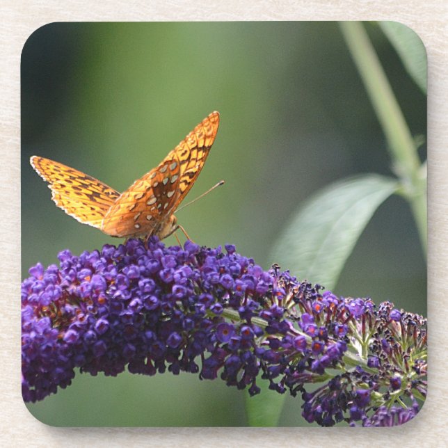 Butterfly-Untersetzer Getränkeuntersetzer (Vorderseite)