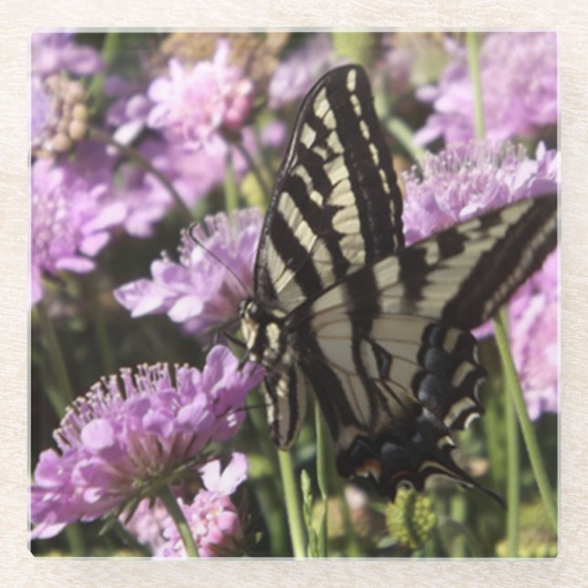 Butterfly-Untersetzer Glasuntersetzer (Vorderseite)