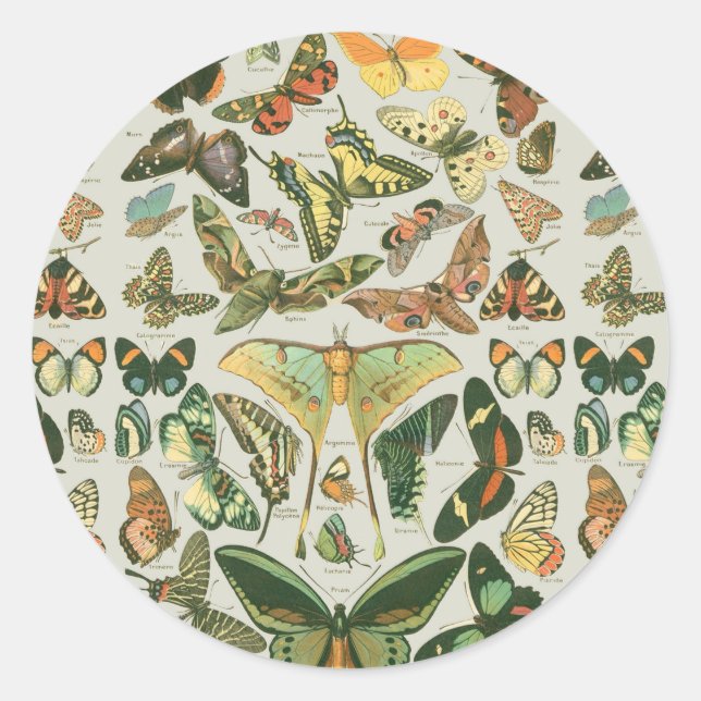 Butterfly Vintag Antique Butterfells Kunst Runder Aufkleber (Vorderseite)