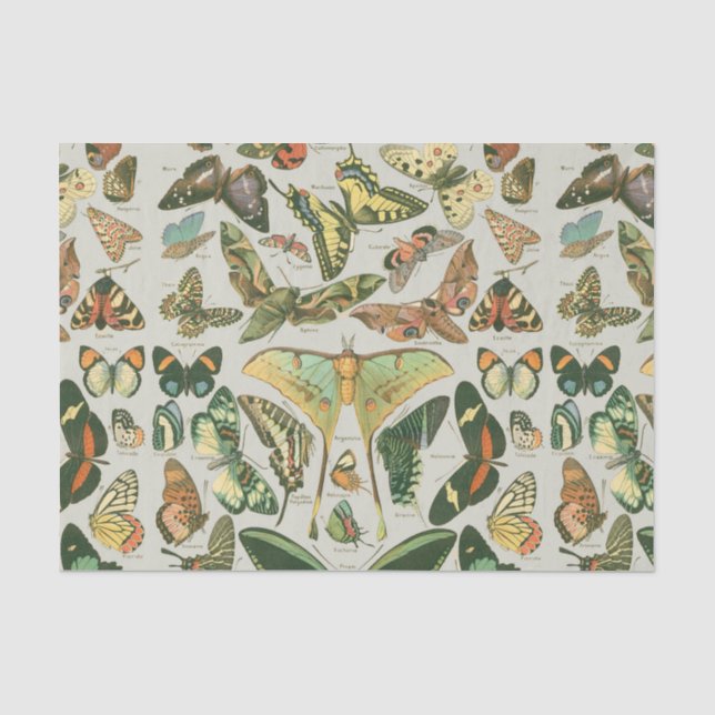 Butterfly Vintag Antique Butterfells Kunst Seidenpapier (Vorderseite)