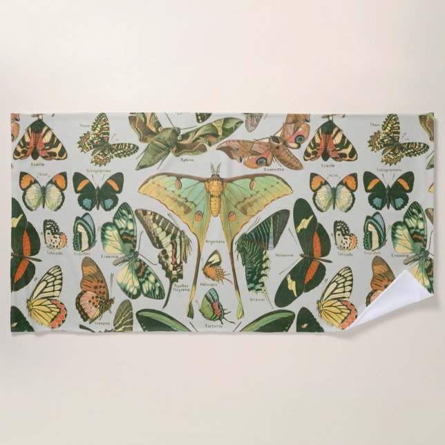 Butterfly Vintag Antique Butterfells Kunst Strandtuch (Vorderseite)