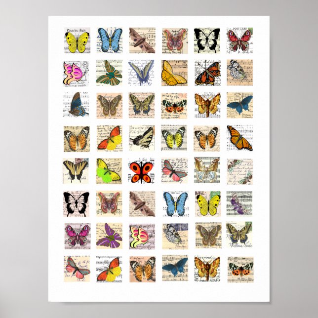 Butterfly Vintag Postcard Art Collage Poster (Vorne)