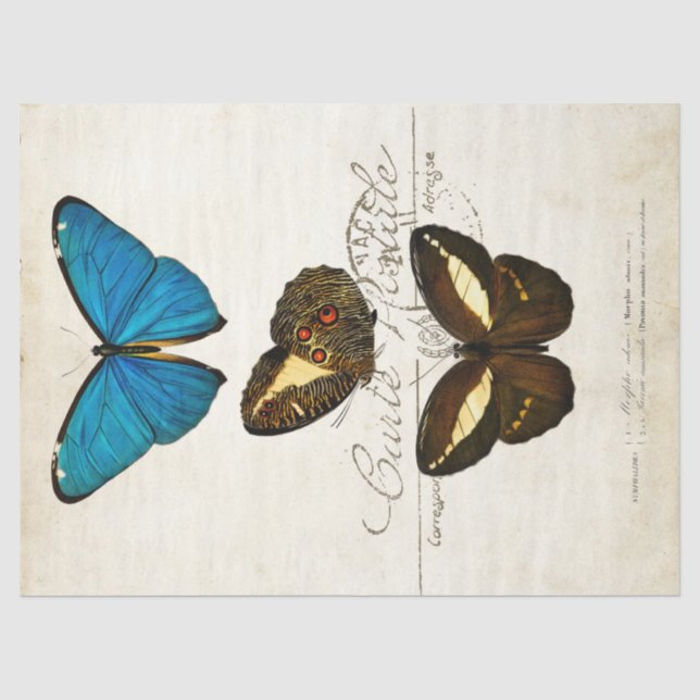 Butterfly Vintager französischer Carte Postale Dec Seidenpapier (Vorderseite)