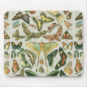 Butterfly Vintages Muster Schmetterlinge Malerei Mousepad