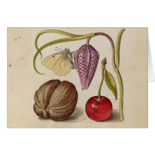 Butterfly Walnut Blume Cherry Wasserfarbe Kunst