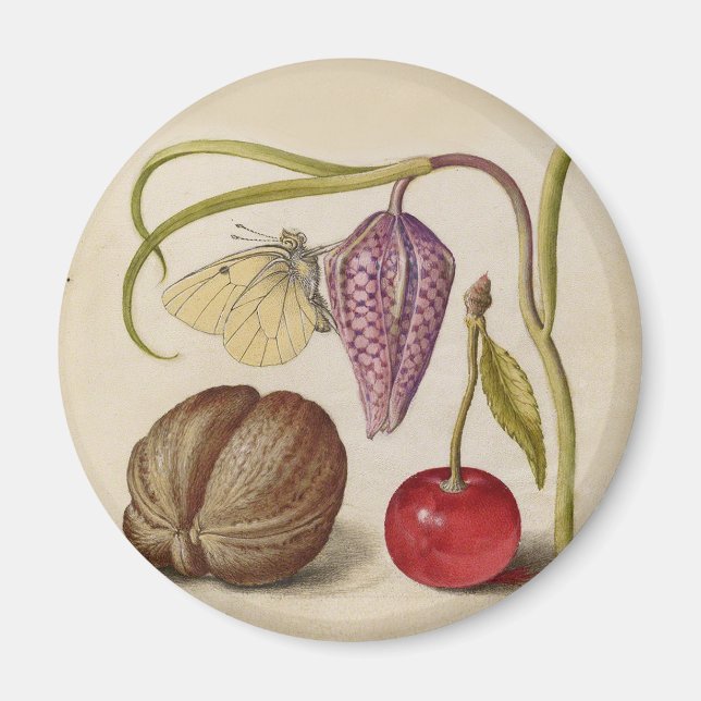 Butterfly Walnut Blume Cherry Wasserfarbe Kunst Magnet (Vorne)