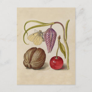 Butterfly Walnut Blume Cherry Wasserfarbe Kunst Postkarte