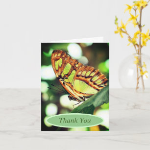 Butterfly Watching Nature Personalisiert Danke Karte