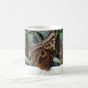 Butterfly White Coffee Tasse
