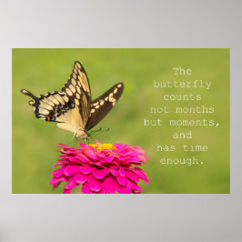 Butterfly zählt poster