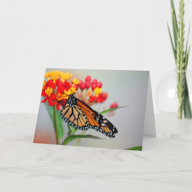 Butterly et cartes de note de concepteur de fleur (Devant)