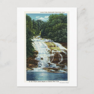 Buttermilch Farm Staat Park Unterfall Aussicht Postkarte