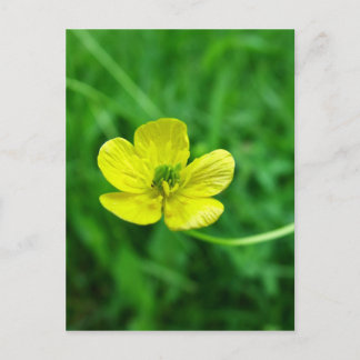 Buttertasse Postkarte