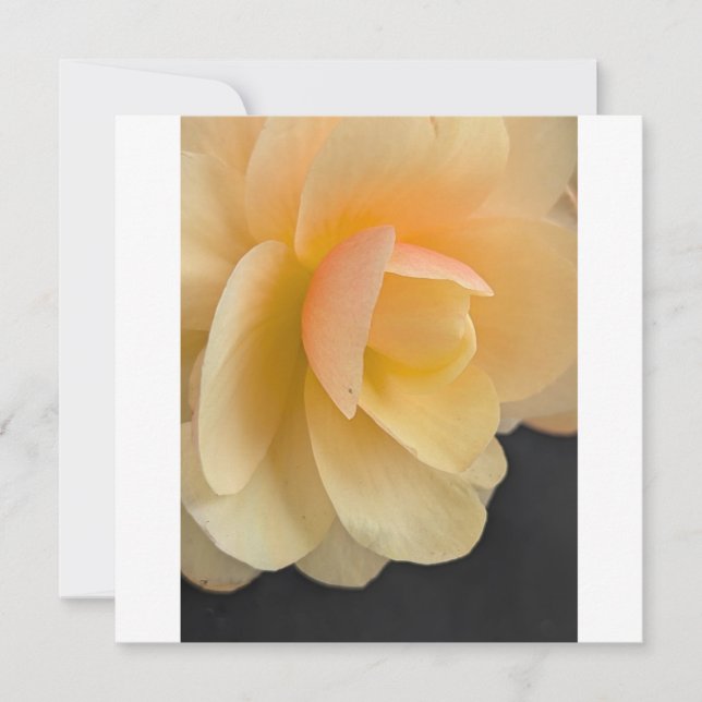 Buttery Begonia Note Card Dankeskarte (Vorderseite)