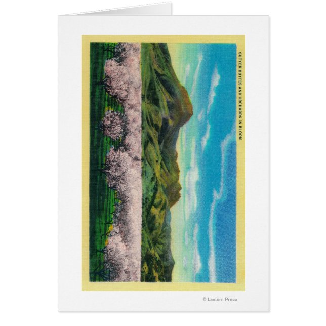 Buttes Sutter et vergers en fleurs (Devant)