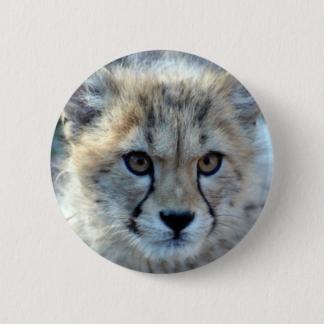 Button-cheetah-cub10x10 Button (Vorderseite)