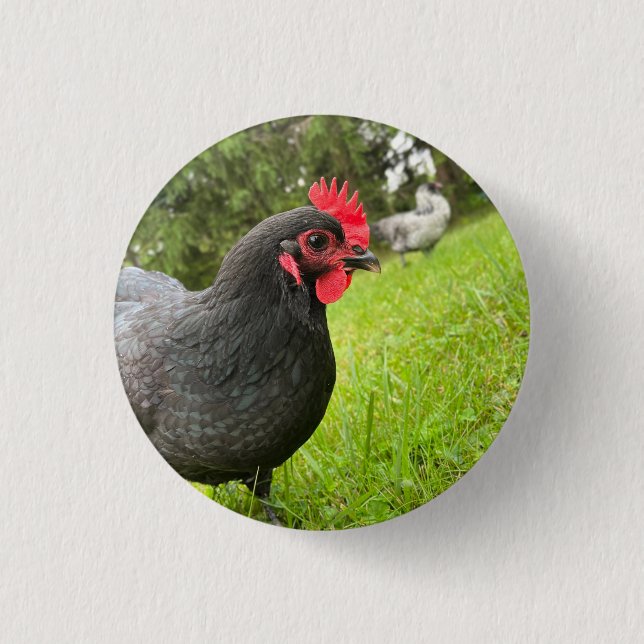Button Cute Rooster  (Vorderseite)