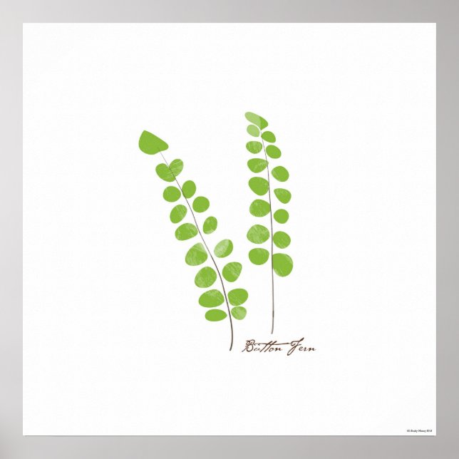 Button Fern Illustration | Botanische Schrift Poster (Vorne)