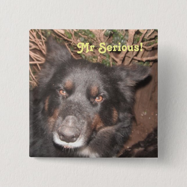 Button Husky Collie Cross (Vorderseite)