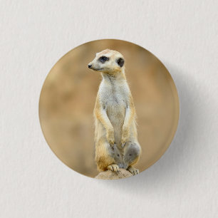 Button mit Meerkat auf Wache