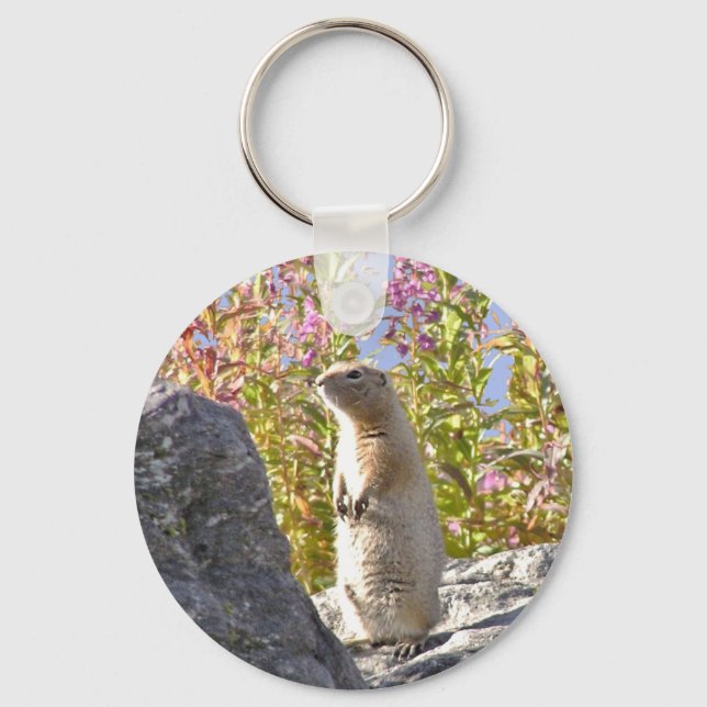 Button-Schlüsselanhänger mit zauberhaftem Präriehu Schlüsselanhänger (Vorderseite)