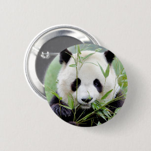 Buttons riesiger Panda. Panda Geant.