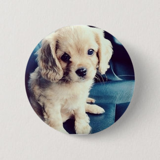 Buttonz oben! button