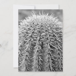 Buzz Cut Cactus (AZ Sonoran Desert) Einladung