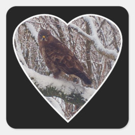 Buzzard auf dem Schneeband in Heart Sticker