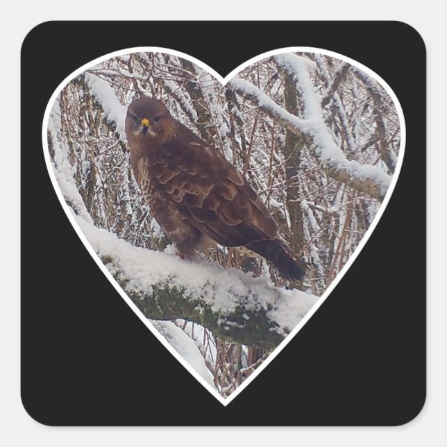 Buzzard auf dem Schneeband in Heart Sticker (Vorderseite)