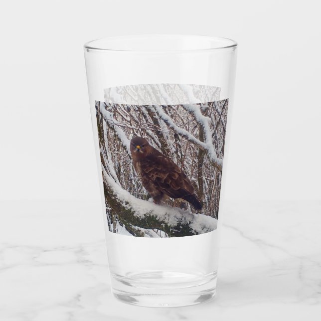 Buzzard auf der Snowy Branch Glas (Vorderseite)