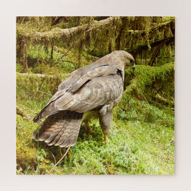 Buzzard auf der Suche nach einem Puzzle (Horizontal)