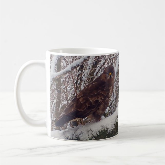 Buzzard auf der Tasse Snowy Branch (Links)