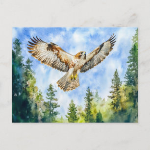 Buzzard, der über einer Farbe in einem Kiefernwald Postkarte