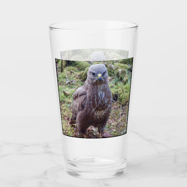 Buzzard mit Höhenlage Glas (Vorderseite)