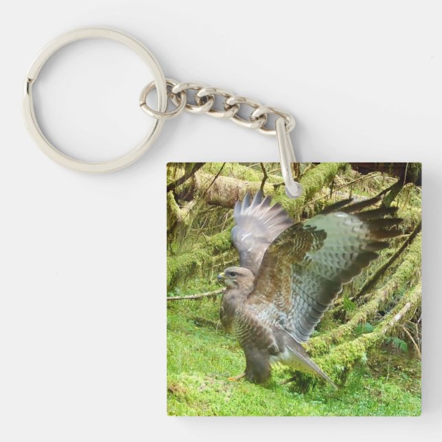 Buzzard Stretching Flügel Schlüsselring (Vorderseite)