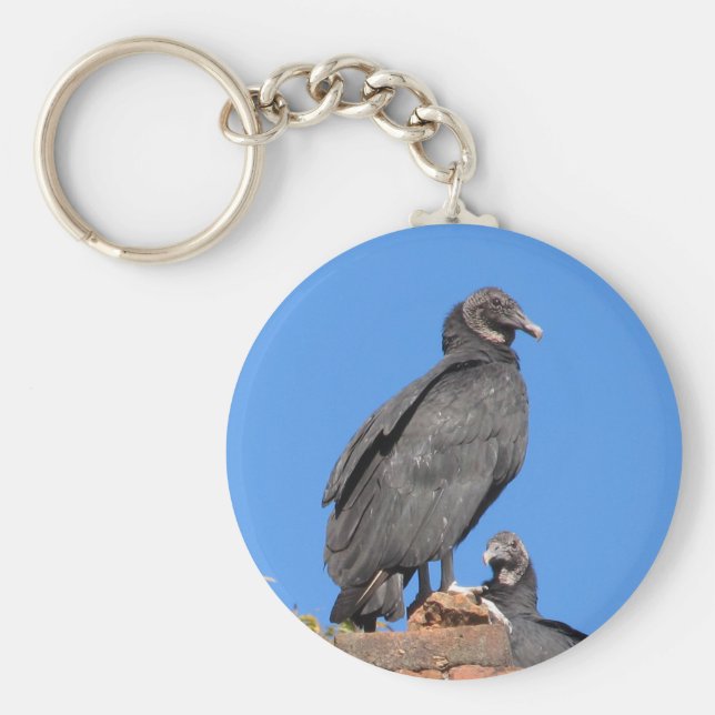 Buzzards mit Blick auf Ihre wichtigsten Rings Schlüsselanhänger (Vorne)