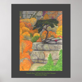 Buzzard's Roost - Fall Creek Falls Staat Park Poster