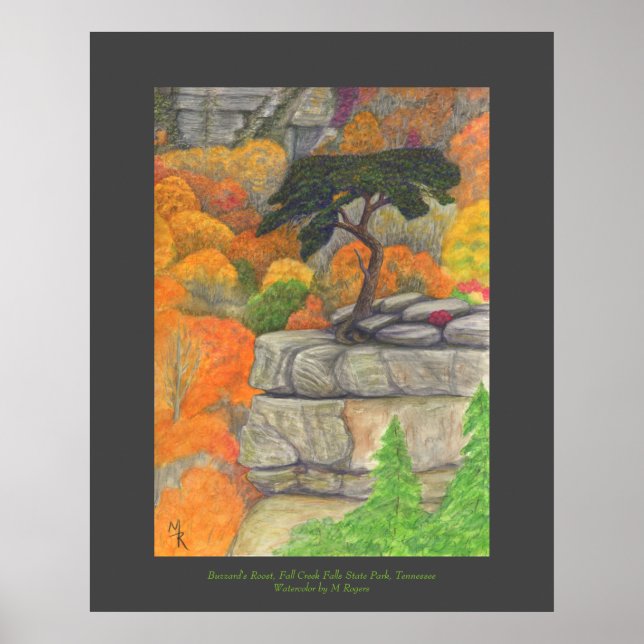Buzzard's Roost - Fall Creek Falls Staat Park Poster (Vorne)