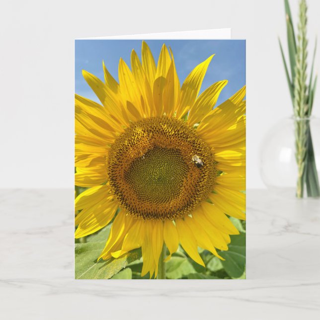 BuZZy Bee & Sunflower Foto Blank Grußkarte Karte (Vorderseite)