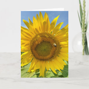 BuZZy Bee & Sunflower Foto Blank Grußkarte Karte