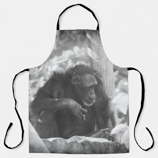 BW Chimp Schürze (Vorderseite)